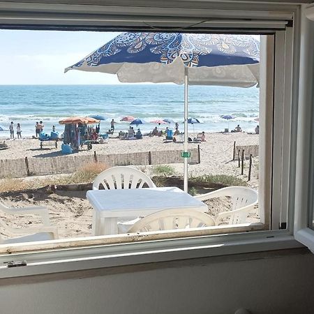 Casina Sulla Sabbia Lägenhet Torvaianica Exteriör bild